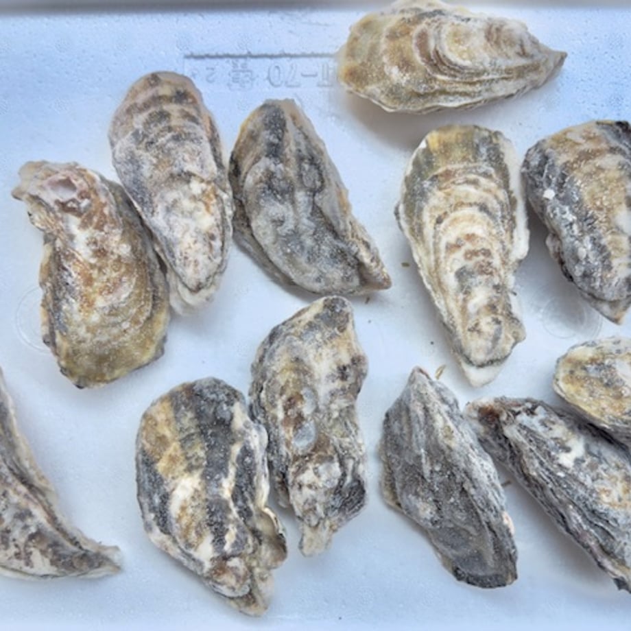 68c8f476bc017d27cd82220c