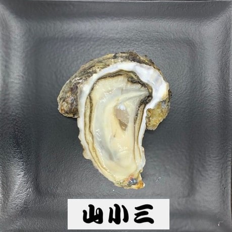 仙鳳趾S(北海道)