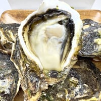 糸島サウンド L（福岡）