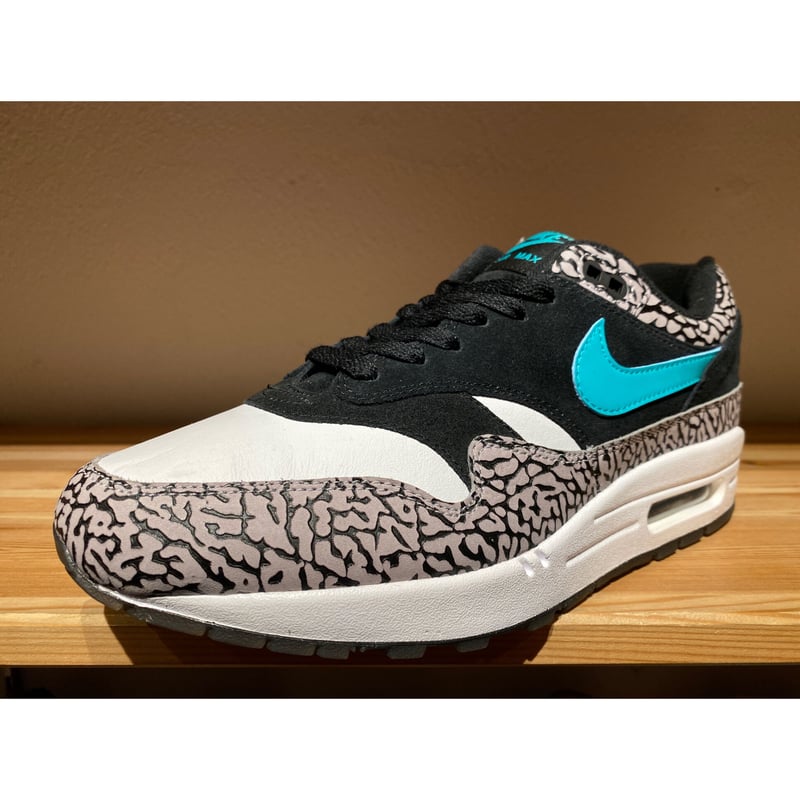 Nike atmos air max 1 on sale