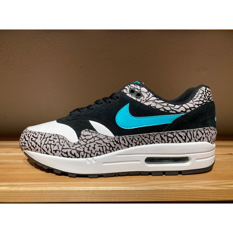 ATMOS × NIKE AIR MAX 1 PREMIUM RETRO