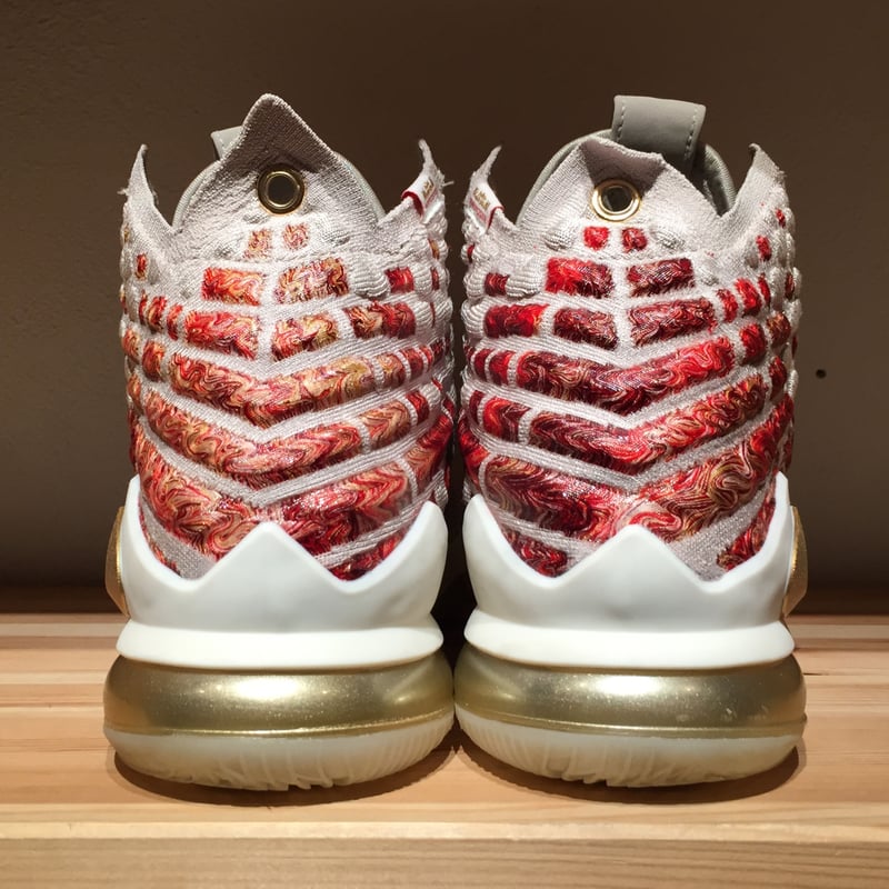 USED】NIKE LEBRON 17 PREMIUM | 9H9H NAHANAHA