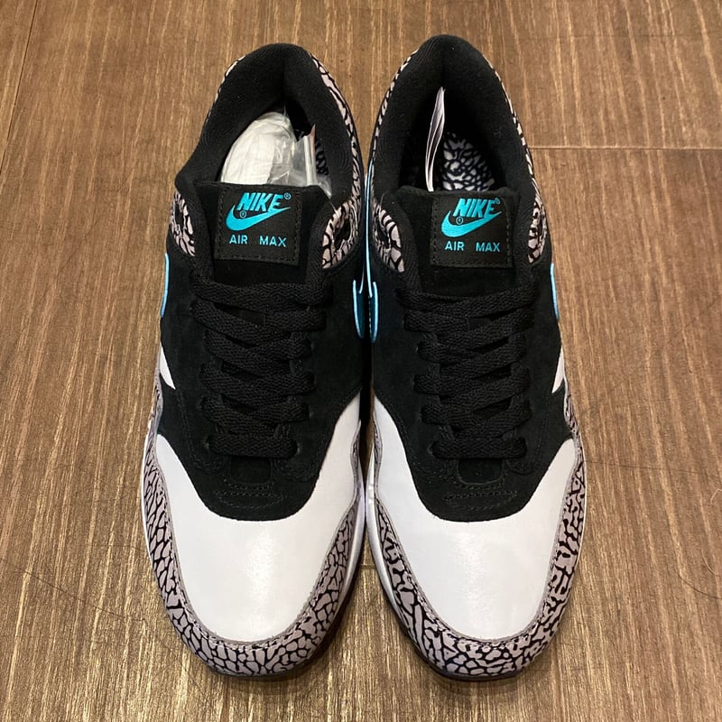 ☆atmosコラボ・JADE - NIKE AIR MAX 1 PREMIUM RETRO E ☆atmosコラボ・JADE - NIKE AIR MAX 1 PREMIUM RETRO E