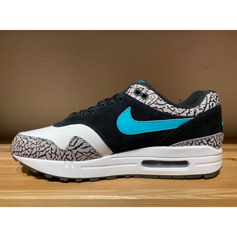 ATMOS × NIKE AIR MAX 1 PREMIUM RETRO