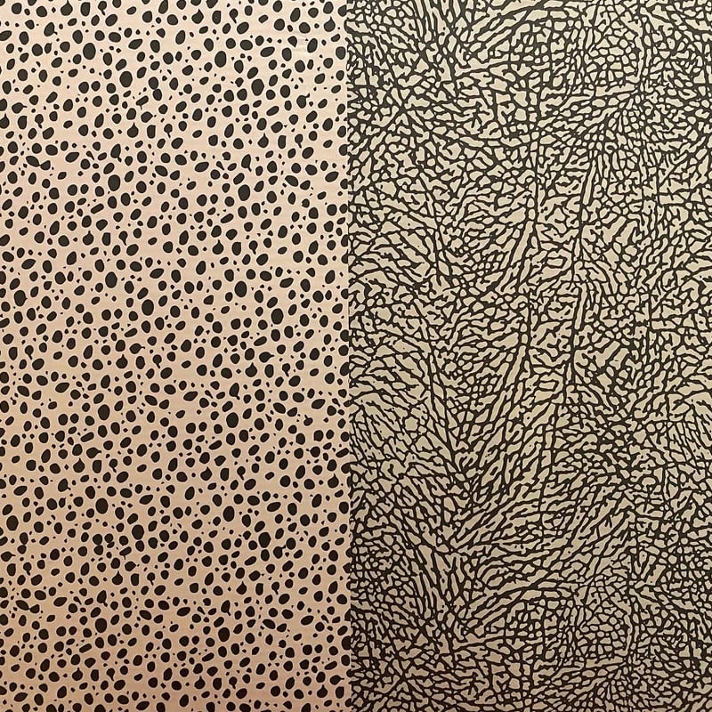 ☆2足セット・atmosコラボ - NIKE JORDAN × MAX PACK (AIR J