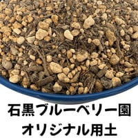 【石黒ブルーベリー園】オリジナル用土 18L