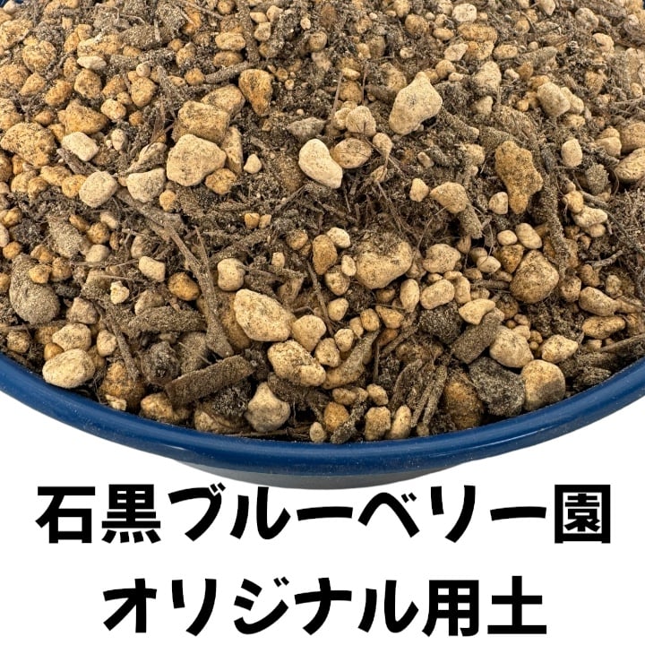 ⭐︎専用⭐︎オリジナルセントポーリア用土 セントポーリア の 土作り | 花とはりねずみ