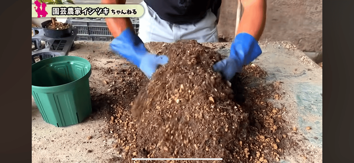 ブルーベリーさん専用 石黒ブルーベリー園】オリジナル用土 18L | 園芸用土専門店 ｼｰｳﾞ