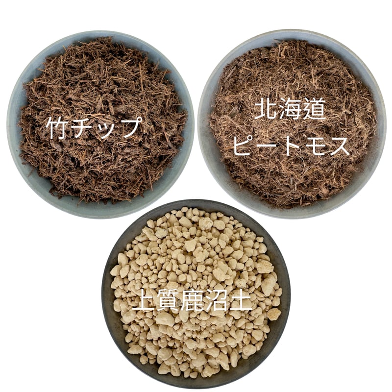 ブルーベリー 専用 Amazon.co.jp: 花ごころ ブルーベリー専用 鉄欠解決 FT-II : DIY