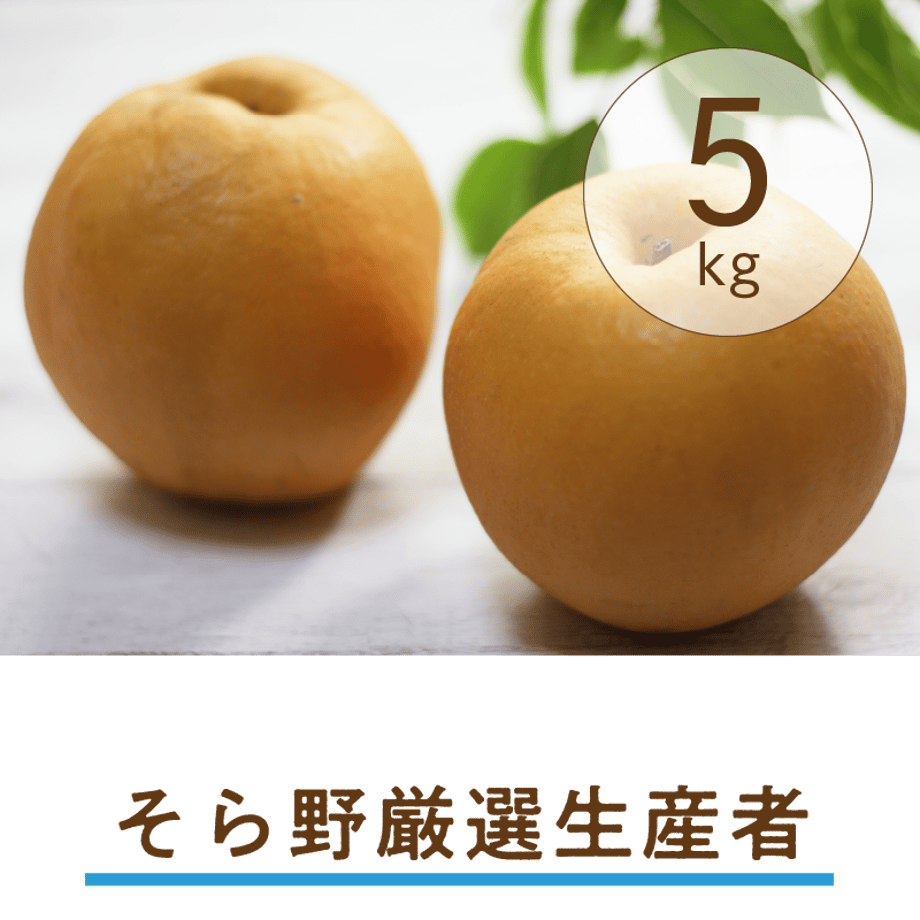 6377125f5988dc571c0748dc