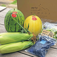 【6/25〜7/25発送】とれたて夏野菜と「なす漬け」セット