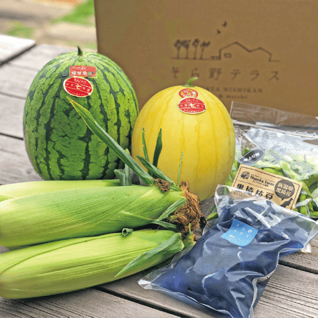 【6/25〜7/25発送】とれたて夏野菜と「笹川流れの塩」セット