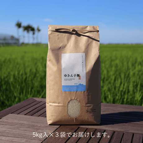 【R.7年度産】【白米 15kg（5kg袋×3袋）】そら野テラスの『ゆきん子舞』