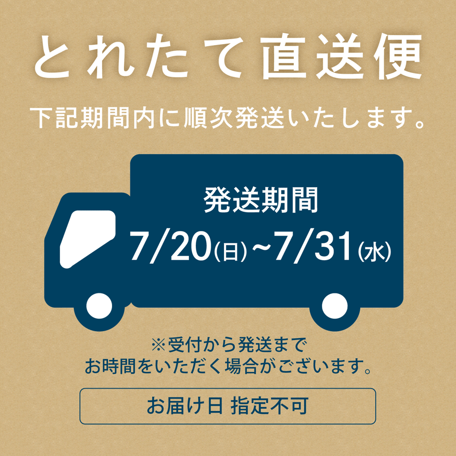 66692b6c6396ba013253b034