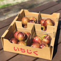そら野テラスの朝採りいちじく 4パックセット