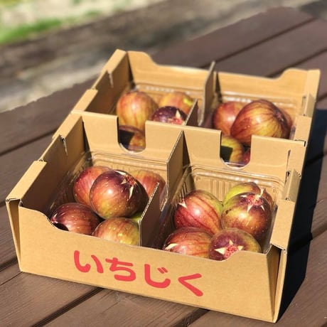 そら野テラスの朝採りいちじく 4パックセット