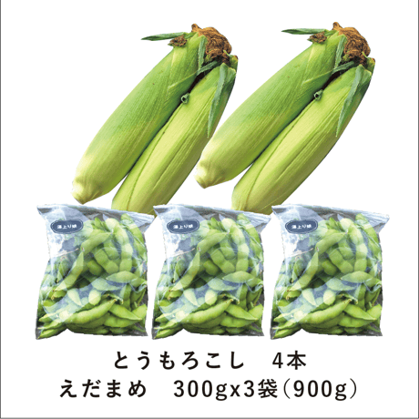 【6/25〜7/25発送】とれたて！とうもろこし4本 + えだまめ900g詰（300gx3袋）