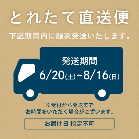 【6/20〜8/16発送】新潟市産　とれたて！えだまめ1.8kg詰（300g×6袋）