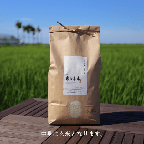 【R.7年度産】【玄米 5kg】  『寿々喜（すゞき）米』 新潟コシヒカリ 50％減農薬・減化学肥料