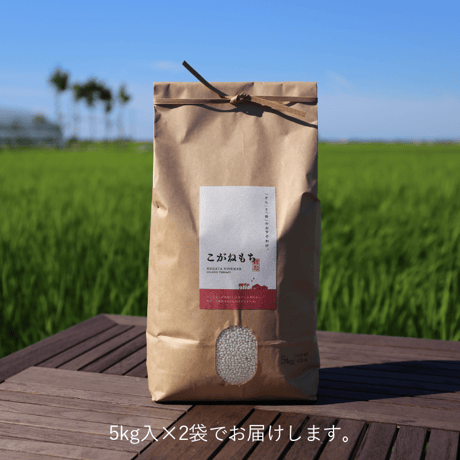 【R.7年度産】【白米 10kg（5kg袋×2袋）】  そら野テラスの『こがねもち』（もち米）