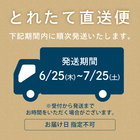 【6/25〜7/25発送】斉藤雅一さんの 小玉スイカギフト 味くらべ4個入