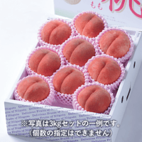 【7月中旬~8月上旬発送】くだもの屋にへじ（南区）さんのももギフト 3kg（6~12個入）