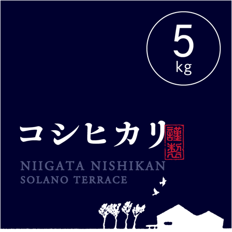 【R.7年度産】【玄米5kg】そら野テラスの『コシヒカリ』