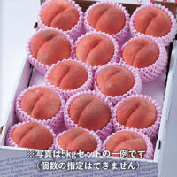 【7月中旬~8月上旬発送】くだもの屋にへじ（南区）さんのももギフト 5kg（12〜20個入）