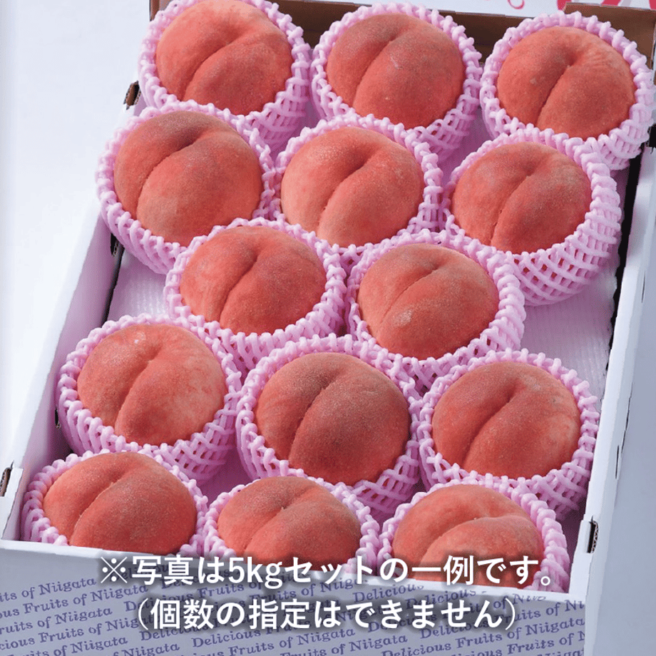 5ef82ecb561e17679a1b27cf