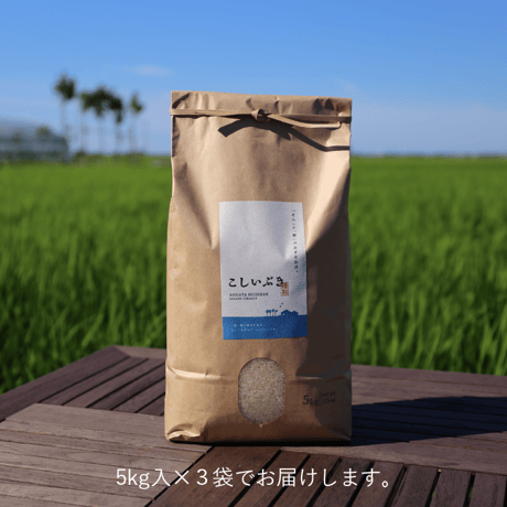 【R.7年度産】【白米 15kg（5kg袋×3袋）】  そら野テラスの『こしいぶき』