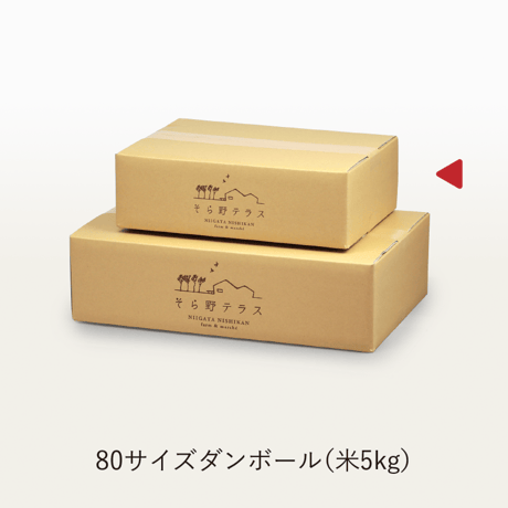 【R.7年度産】【白米 5kg】  『寿々喜（すゞき）米』 新潟コシヒカリ 50％減農薬・減化学肥料