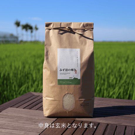 【R.7年度産】【玄米 5kg】 そら野テラスの『みずほの輝き』