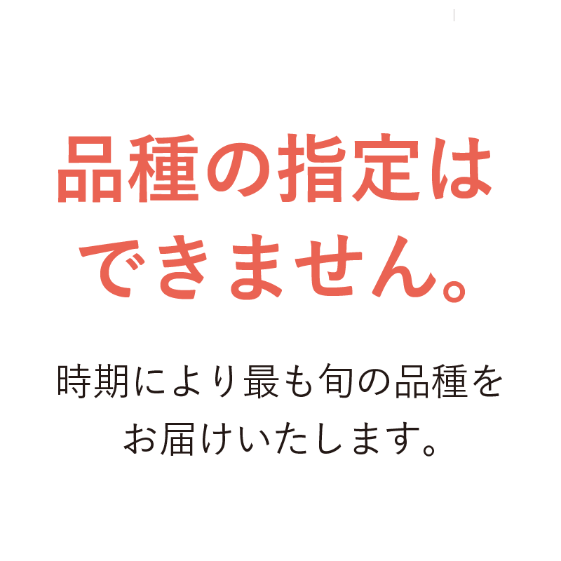6/20〜8/16発送】新潟市産 とれたて！えだまめ1.8kg詰（300g×6袋