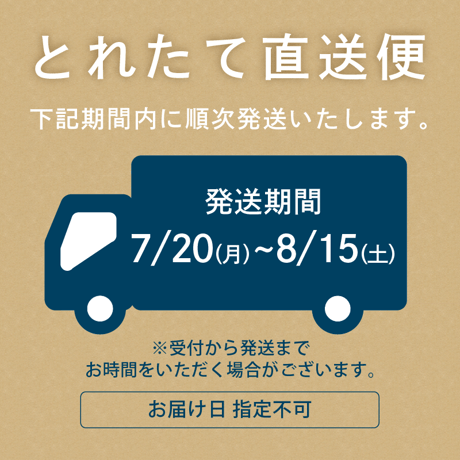 【7/20〜8/15発送】五伝木幸子さんのメロンギフト　味くらべ 2個入