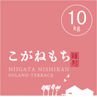 【R.7年度産】【玄米 10kg（5kg袋×2袋）】  そら野テラスの『こがねもち』（もち米）