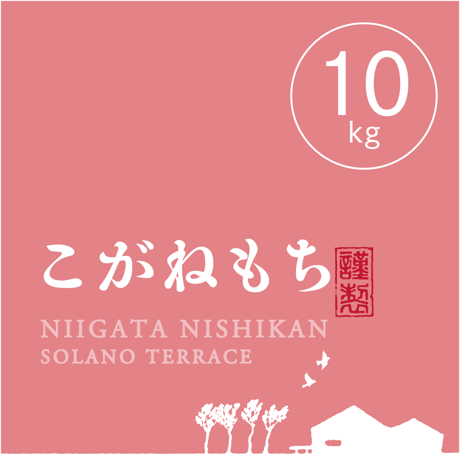 【R.7年度産】【玄米 10kg（5kg袋×2袋）】  そら野テラスの『こがねもち』（もち米）