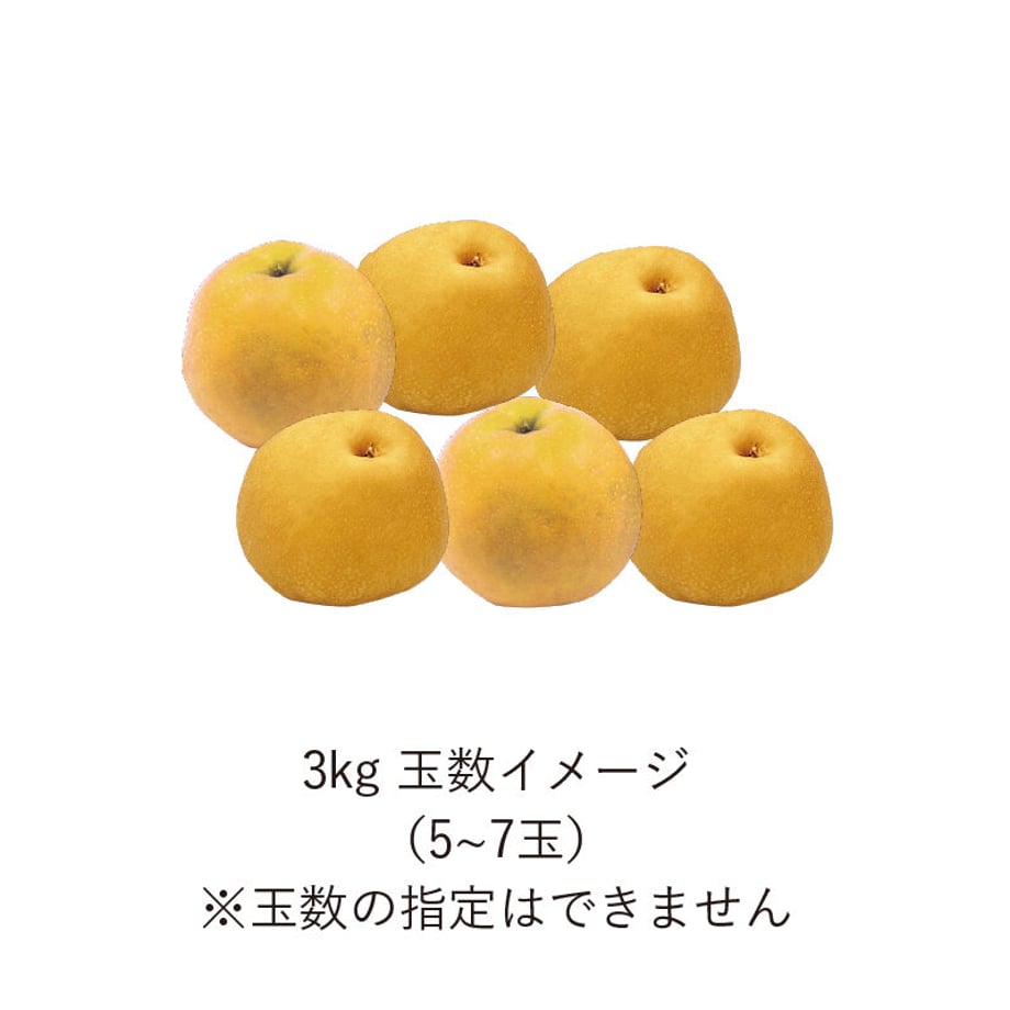 61935b109dbfee182a9056ab
