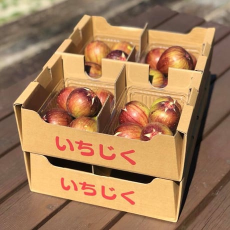 そら野テラスの朝採りいちじく 8パックセット
