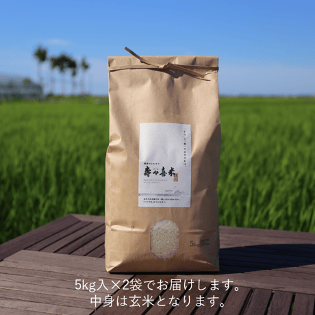 【R.7年度産】【玄米 10kg（5kg袋×2袋）】  『寿々喜（すゞき）米』 新潟コシヒカリ 50％減農薬・減化学肥料