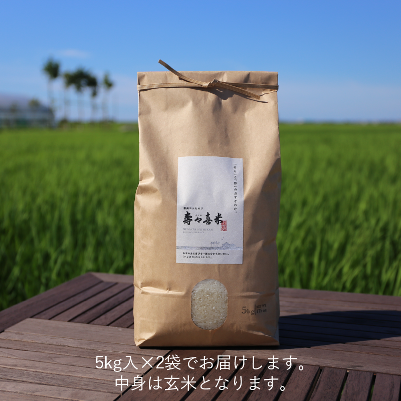 R.7年度産 新米】【玄米 10kg（5kg袋×2袋）】 『寿々喜（すゞき