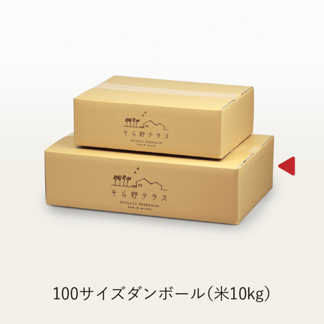 【R.5年度産 新米】【玄米 10kg（5kg袋×2袋）】  そら野テラスの『こしいぶき』