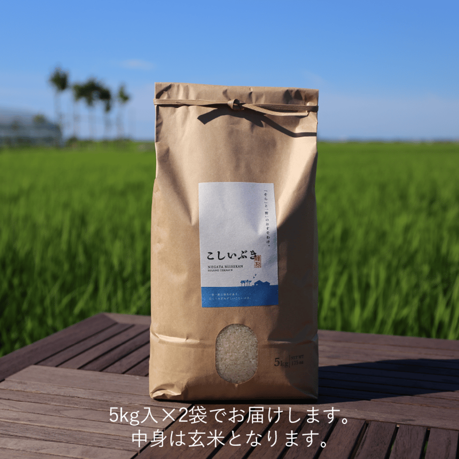 606282c4d263f026bfd37c8a