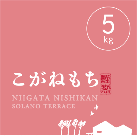 【R.7年度産】【白米 5kg】  そら野テラスの『こがねもち』（もち米）
