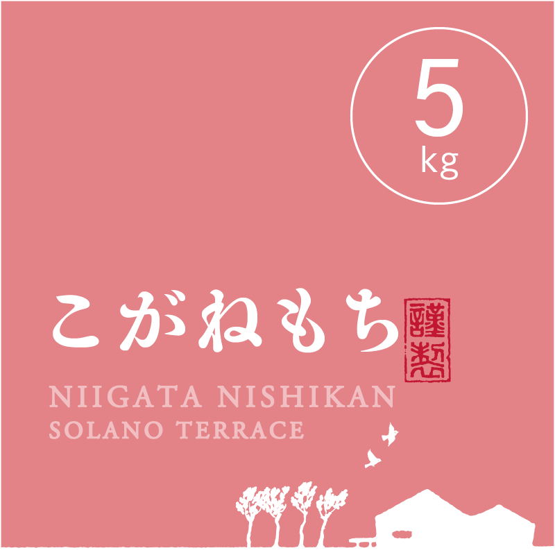 R.7年度産 新米】【白米 5kg】 そら野テラスの『こがねもち』（もち米