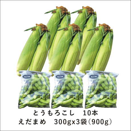 【6/25〜7/25発送】とれたて！とうもろこし10本 + えだまめ900g詰（300gx3袋）