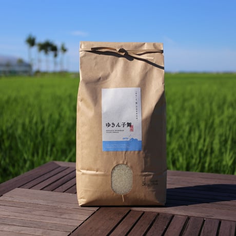 【R.7年度産】【白米 5kg】そら野テラスの『ゆきん子舞』
