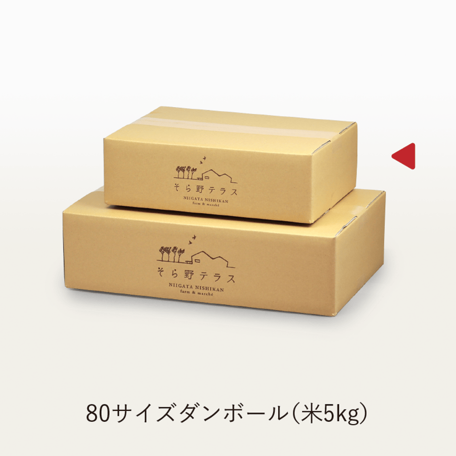 5c98333753053d119c3706f3