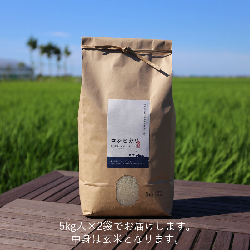 R.7年度産 新米】【玄米10kg（5kg袋×2袋）】そら野テラスの