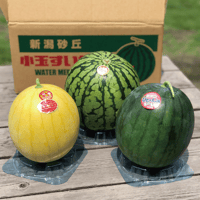 【6/25〜7/25発送】斉藤雅一さんの 小玉スイカギフト 味くらべ3個入