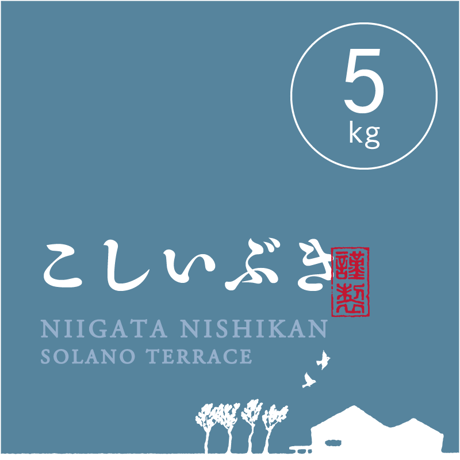 【R.7年度産】【白米 5kg】  そら野テラスの『こしいぶき』